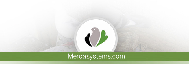 Mercasystems blog