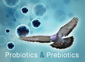 probióticos prebióticos