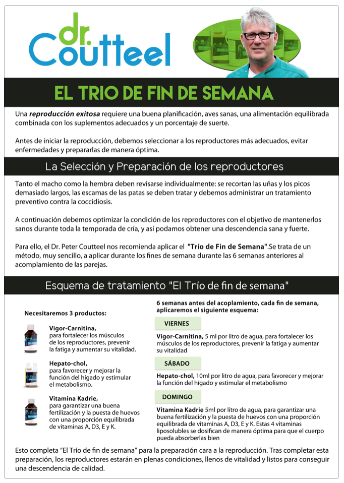 Descarga el PDF Trio de fin de semana