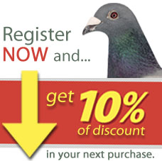 Get 10% off Right Now!
