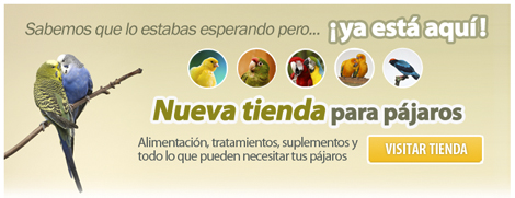 Nueva tienda para pájaros